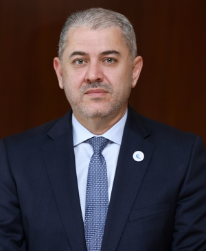 Ammar Al-Safadi
